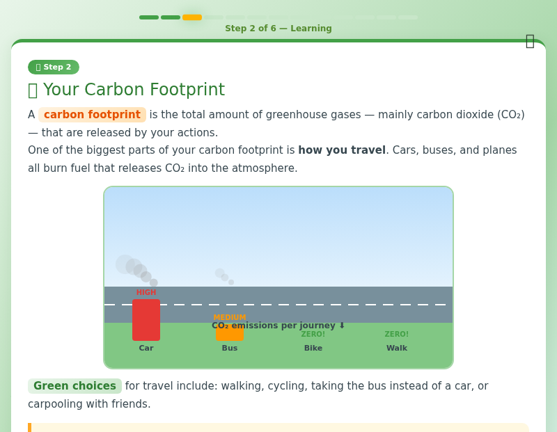 Green Choices: Your Guide to Sustainable Living
