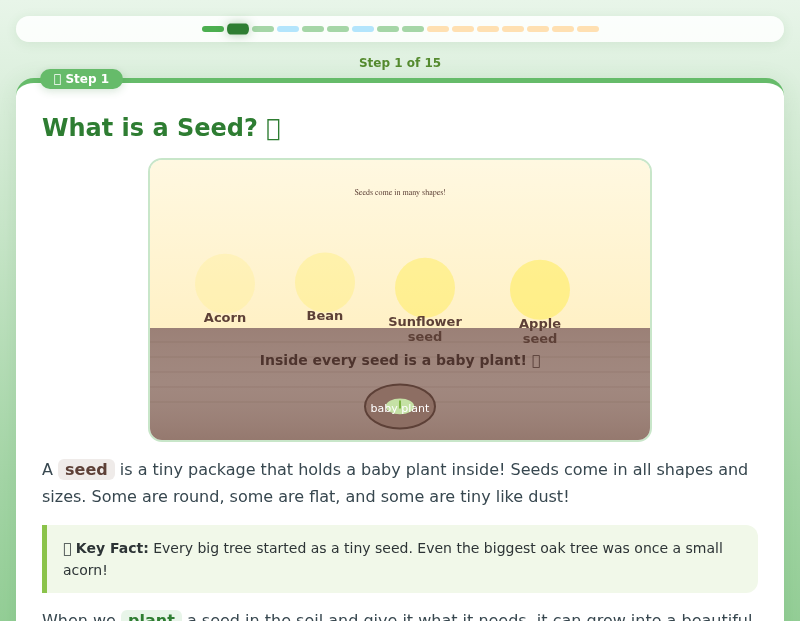 Seed to Sprout: Growing Plants Adventure