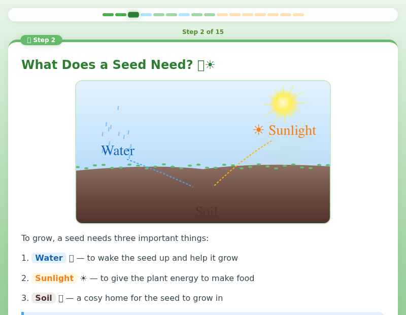 Seed to Sprout: Growing Plants Adventure