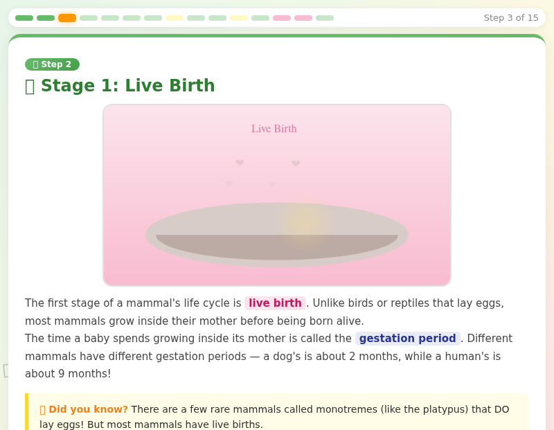 The Amazing Life Cycles of Mammals