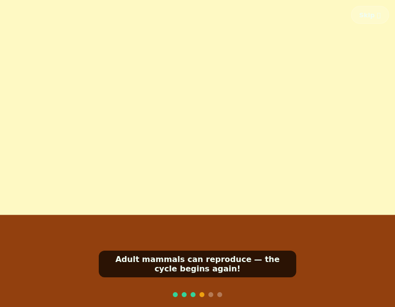 Mammal Life Cycle Safari