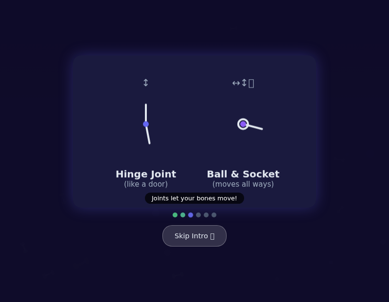 Skeleton Explorer — Bones, Joints & Muscles