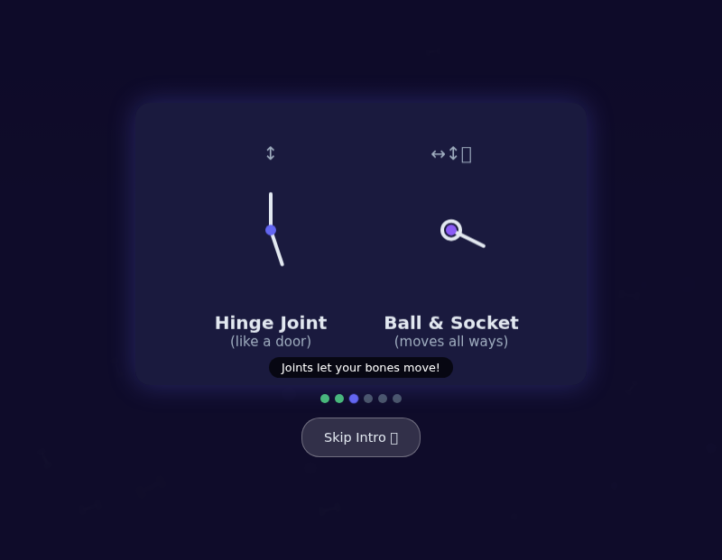 Skeleton Explorer — Bones, Joints & Muscles