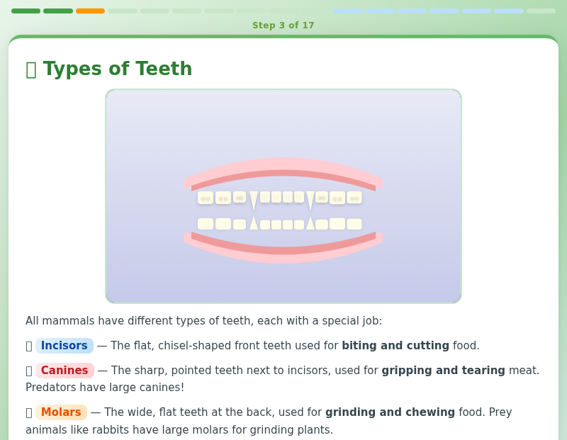 Predator & Prey: Teeth, Food Chains & Changing Environments