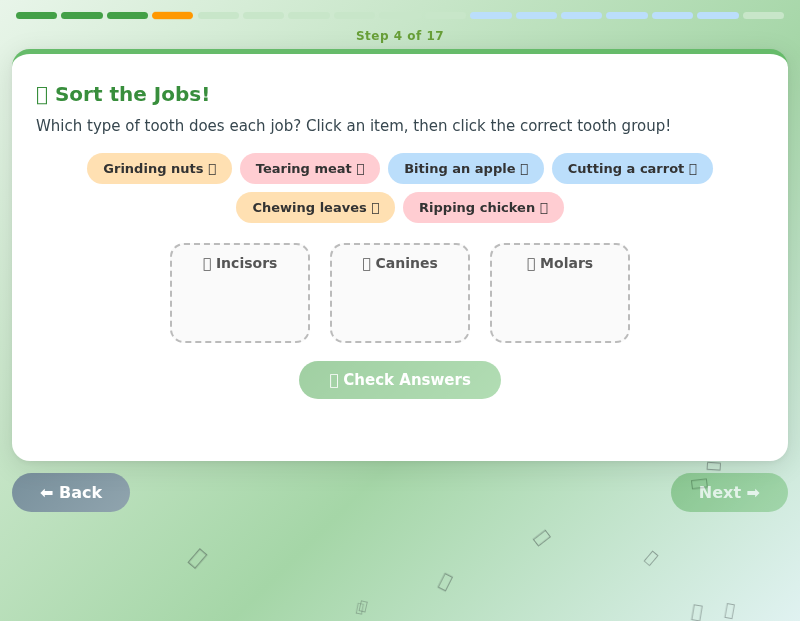 Predator & Prey: Teeth, Food Chains & Changing Environments