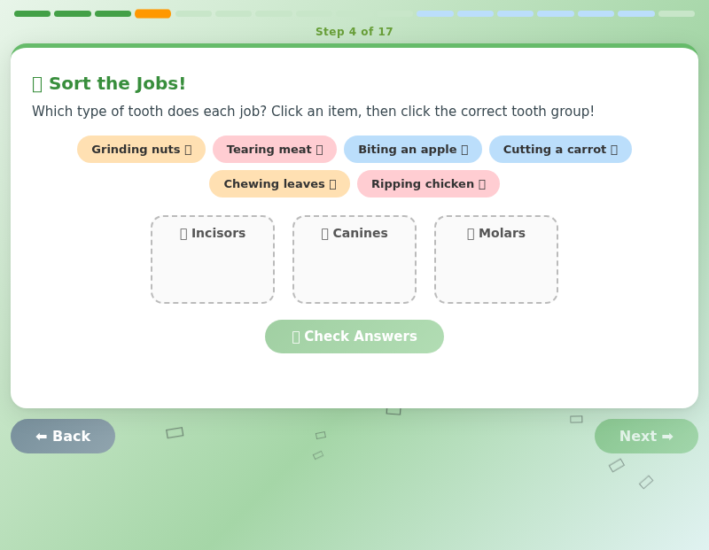 Predator & Prey: Teeth, Food Chains & Changing Environments