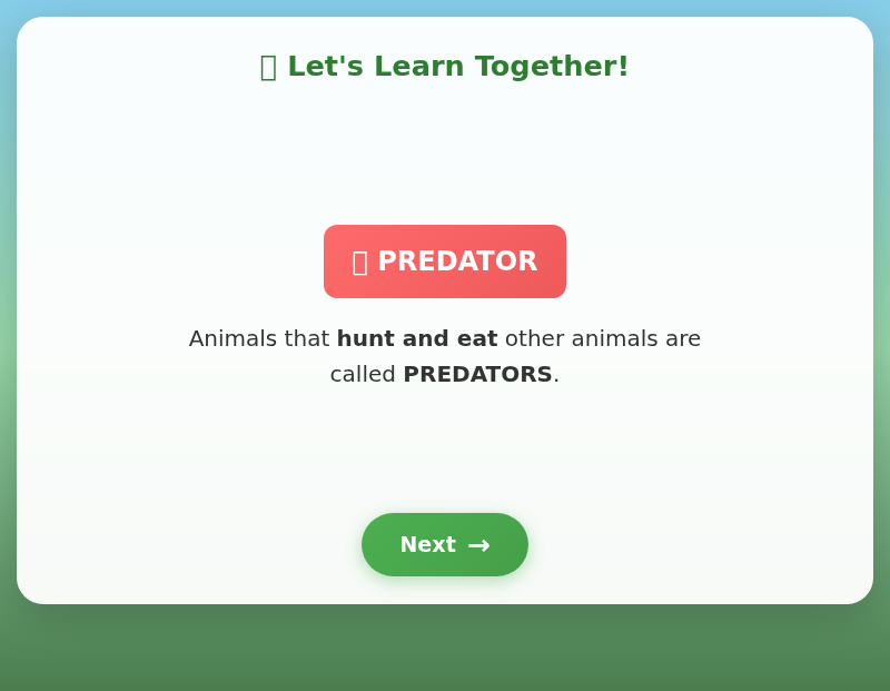 Jungle Food Chain Safari