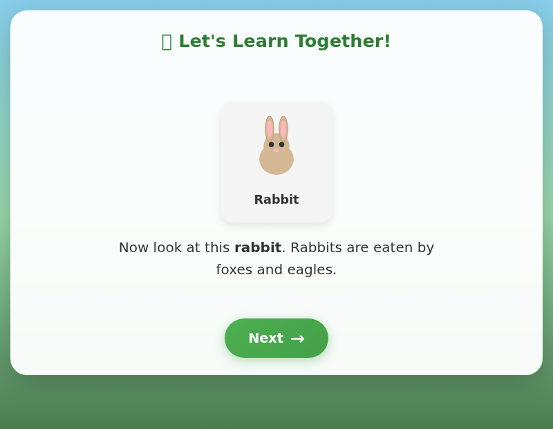 Jungle Food Chain Safari