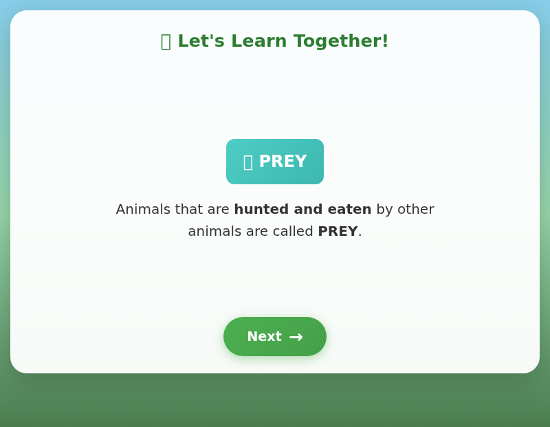 Jungle Food Chain Safari