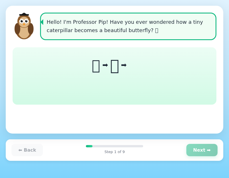 Amazing Animal Life Cycles