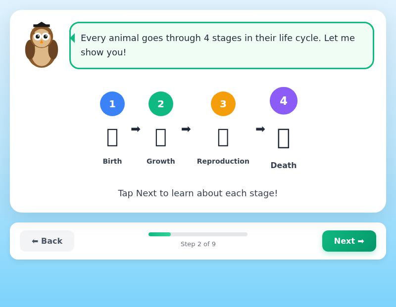 Amazing Animal Life Cycles