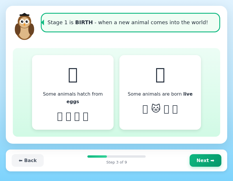 Amazing Animal Life Cycles
