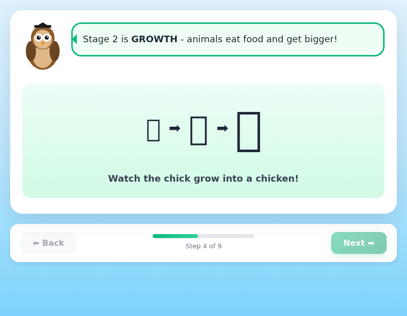 Amazing Animal Life Cycles