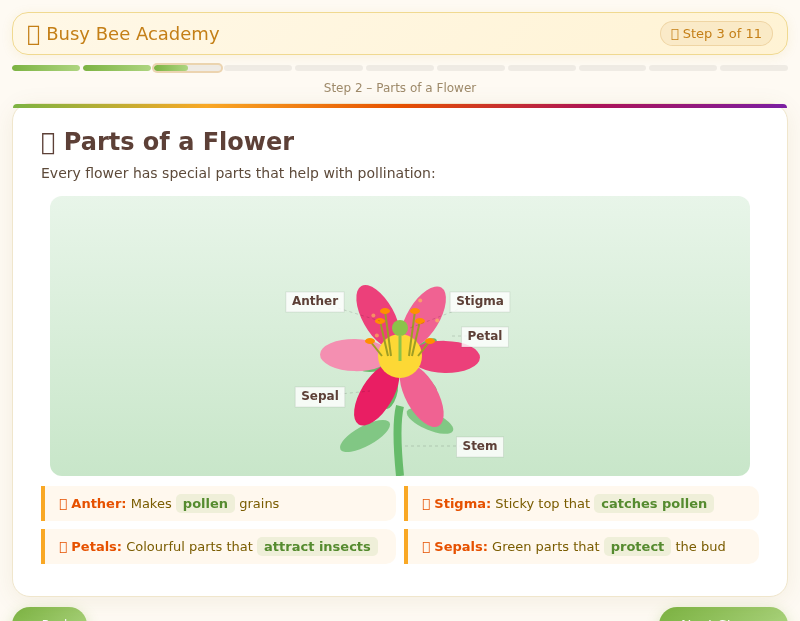 Pollination – How Flowers Make Seeds