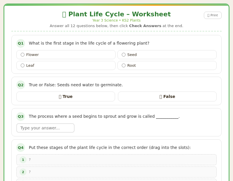 Plant Life Cycle – Science Worksheet