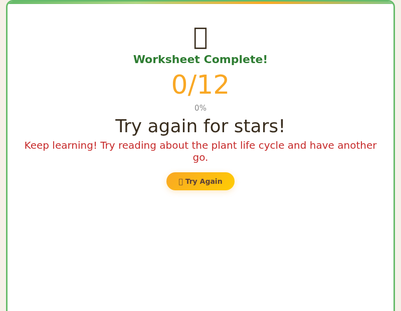 Plant Life Cycle – Science Worksheet