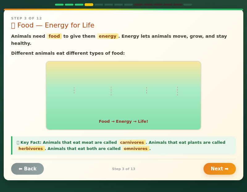 Ranger Ravi's Animal Survival Adventure