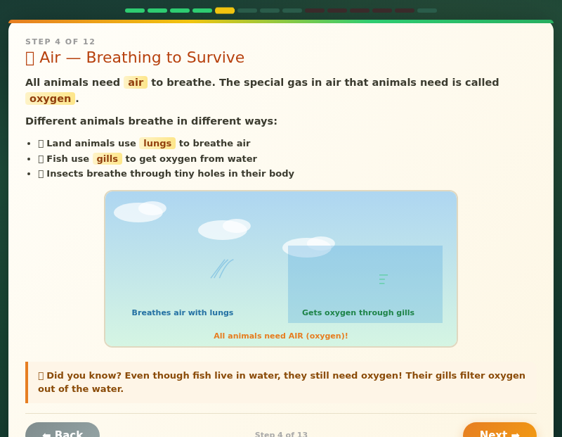 Ranger Ravi's Animal Survival Adventure