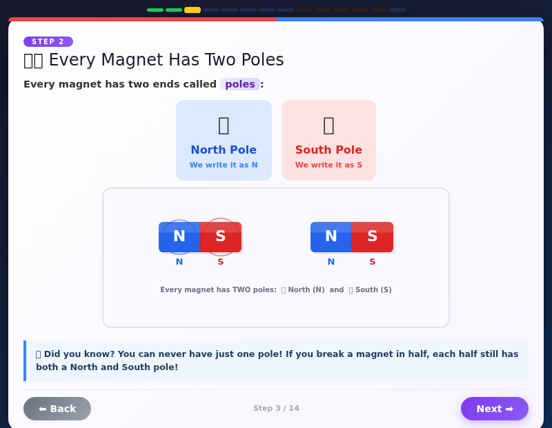 Magnet Max's Push & Pull Lab – Attract & Repel